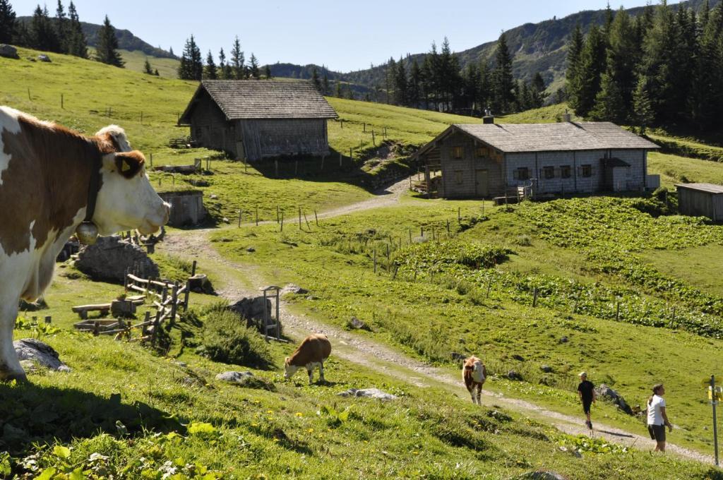Landhaus Koller Gosau Exteriör bild