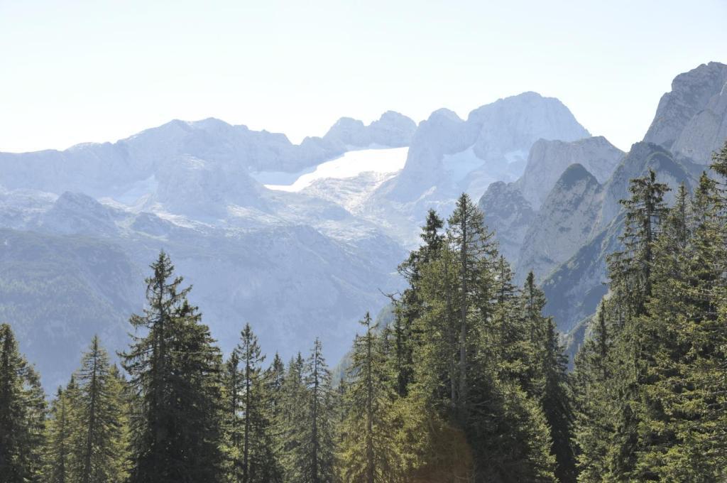 Landhaus Koller Gosau Exteriör bild