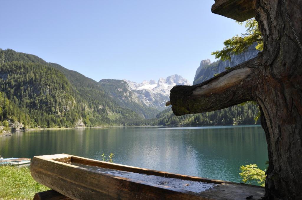 Landhaus Koller Gosau Exteriör bild